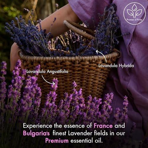 Majestic Pure Lavendel Öl 100% rein und natürlich - 2 Fl Oz mit Pipette - Ätherisches Öl für Diffuser, Aromatherapie, Seifen- und Kerzenherstellung