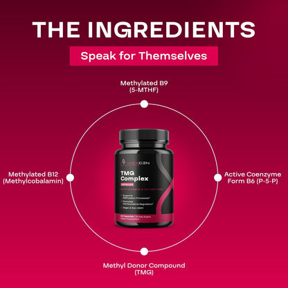 TMG Trimethylglycin Supplement mit Methyl-B-Komplex – 500 mg Betain TMG mit methylierten B-Vitamin-Co-Faktoren für Herz- und Leberunterstützung – Vegan &amp; Non-GMO (1 Monatsvorrat)