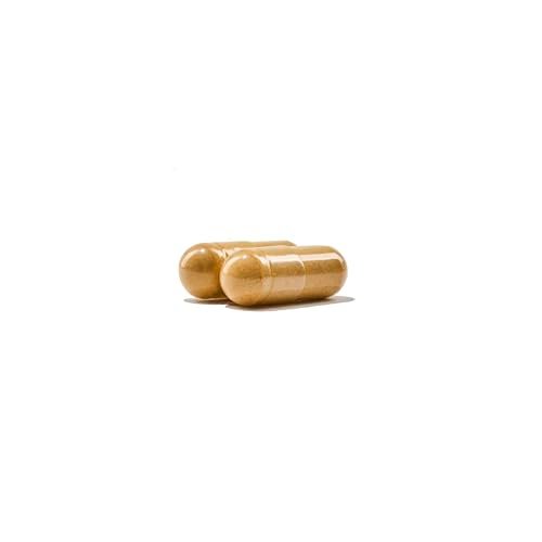 NatureWise Multivitamin für Männer – Tägliche Unterstützung mit Mineralien & Kräutern für Energie, Leistung & Immunsystem – Vitamin A, C, D, B-Komplex – Soja- & Glutenfrei, Nicht-GVO – 180 Kapseln (3-Monats-Vorrat)