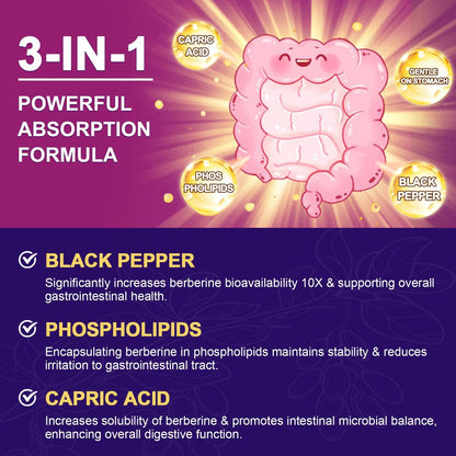 ZEBORA Premium Berberin HCL Kapseln 1200 mg – mit Ceylon-Zimt, ALA & Caprinsäure, GLP-1 Unterstützung, Immunsystem & Antioxidantien, Non-GMO, 120 Kapseln