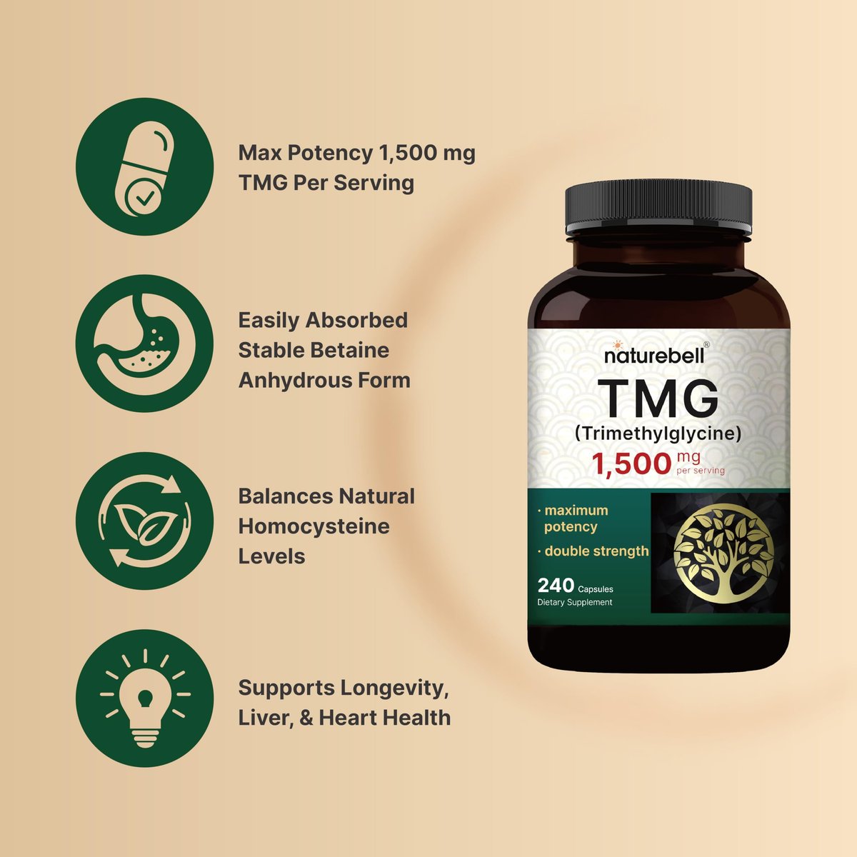 NatureBell TMG 1.500 mg, 240 Kapseln | Max Stärke Betain Anhydrous Trimethylglycin – Unterstützt gesunden Homocysteinspiegel, Herz- & Lebergesundheit – Non-GMO, Glutenfrei