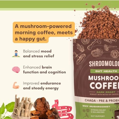 360 Nutrition Instant Mushroom Coffee mit Chaga Superfood-Pilz, Präbiotika und Probiotika für die Darmgesundheit und Konzentration | Dunkle Röstung, ohne Zuckerzusatz, 5 oz (Darm-Mischung)