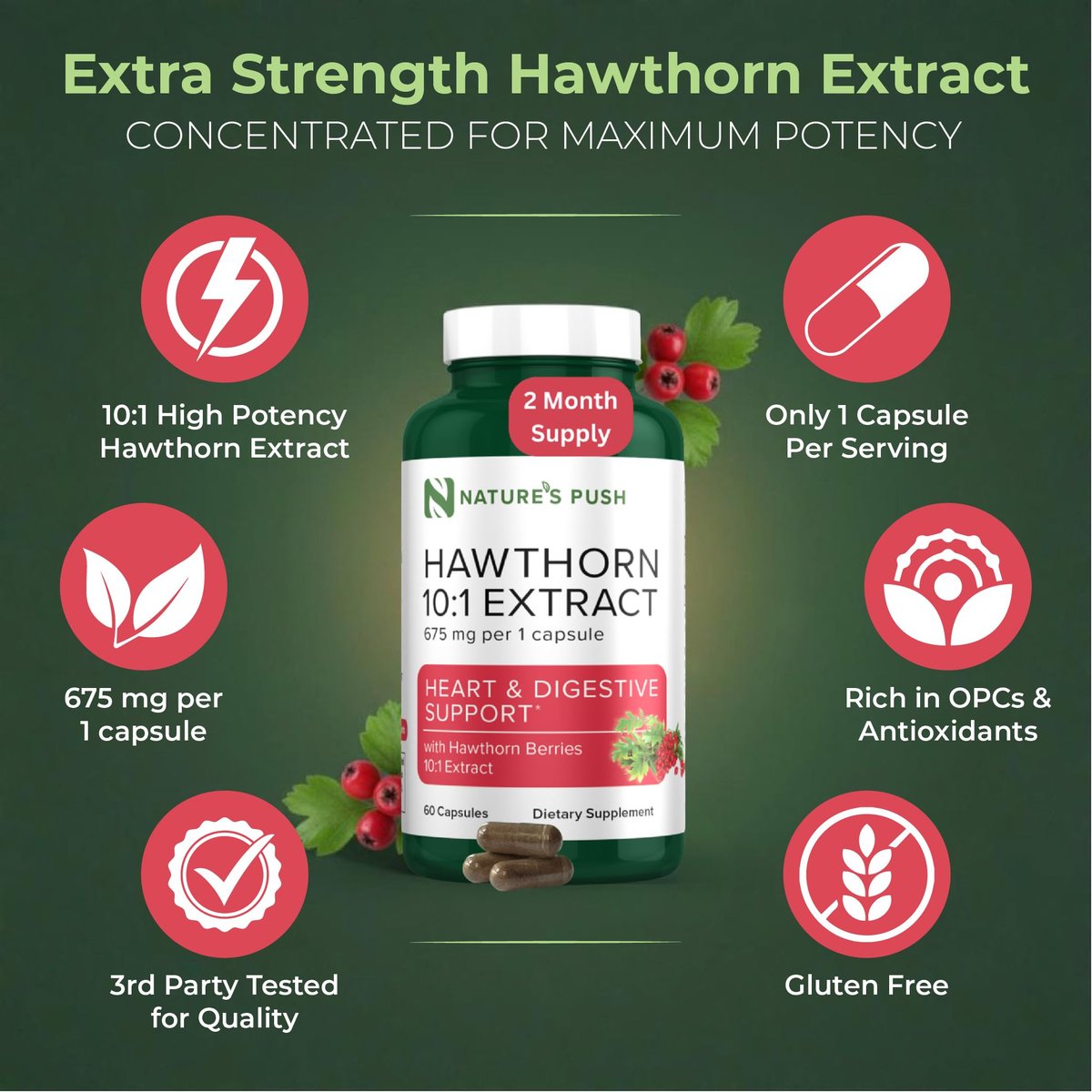 Nature's Push Super Potenter Weißdorn-Extrakt 10:1 675 mg Kapseln – Verdauung, Herzgesundheit & Glykämische Unterstützung – Extra Stark, Nicht-GMO, Glutenfrei, Vegan, GMP, USA (60 Kapseln)