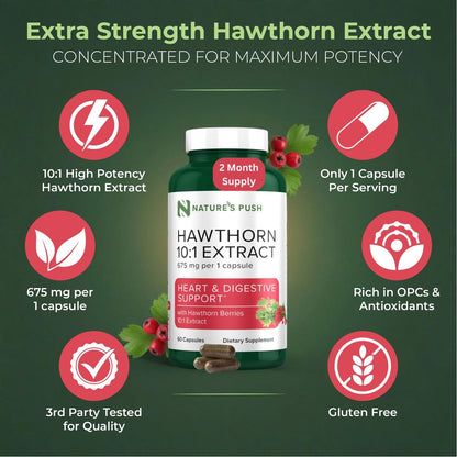 Nature's Push Super Potenter Weißdorn-Extrakt 10:1 675 mg Kapseln – Verdauung, Herzgesundheit & Glykämische Unterstützung – Extra Stark, Nicht-GMO, Glutenfrei, Vegan, GMP, USA (60 Kapseln)