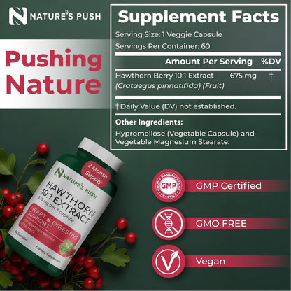 Nature's Push Super Potenter Weißdorn-Extrakt 10:1 675 mg Kapseln – Verdauung, Herzgesundheit & Glykämische Unterstützung – Extra Stark, Nicht-GMO, Glutenfrei, Vegan, GMP, USA (60 Kapseln)