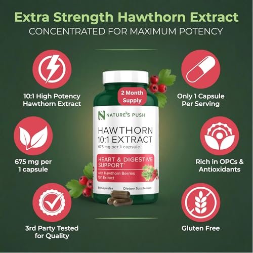 Nature's Push Super Potenter Weißdorn-Extrakt 10:1 675 mg Kapseln – Verdauung, Herzgesundheit & Glykämische Unterstützung – Extra Stark, Nicht-GMO, Glutenfrei, Vegan, GMP, USA (60 Kapseln)