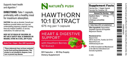 Nature's Push Super Potenter Weißdorn-Extrakt 10:1 675 mg Kapseln – Verdauung, Herzgesundheit & Glykämische Unterstützung – Extra Stark, Nicht-GMO, Glutenfrei, Vegan, GMP, USA (60 Kapseln)
