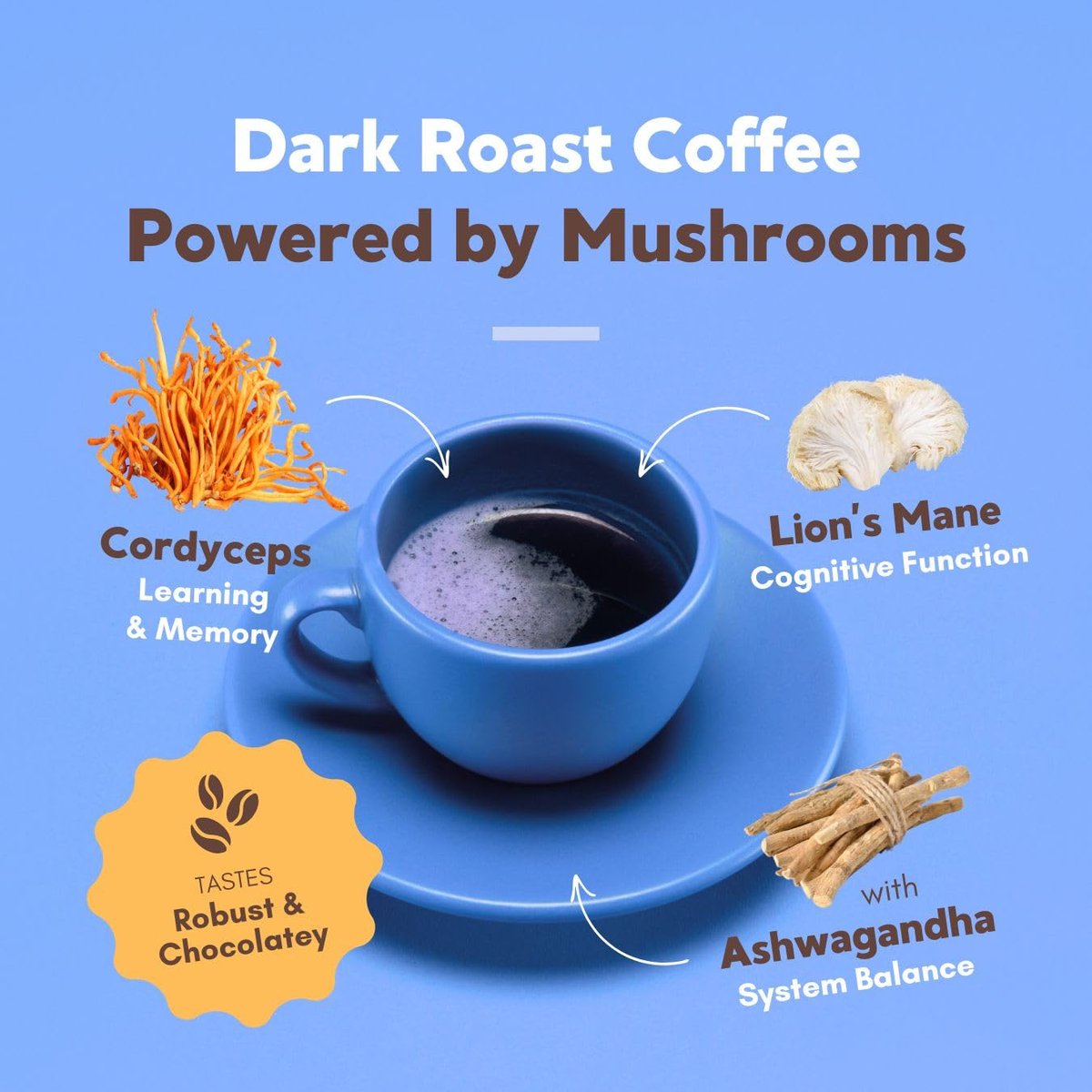 360 Nutrition Instant Mushroom Coffee Focus Blend – Mit Cordyceps, Löwenmähne und Ashwagandha für kognitive Balance, Gedächtnis und Konzentration | Dunkle Röstung, ohne Zuckerzusatz, 142 g