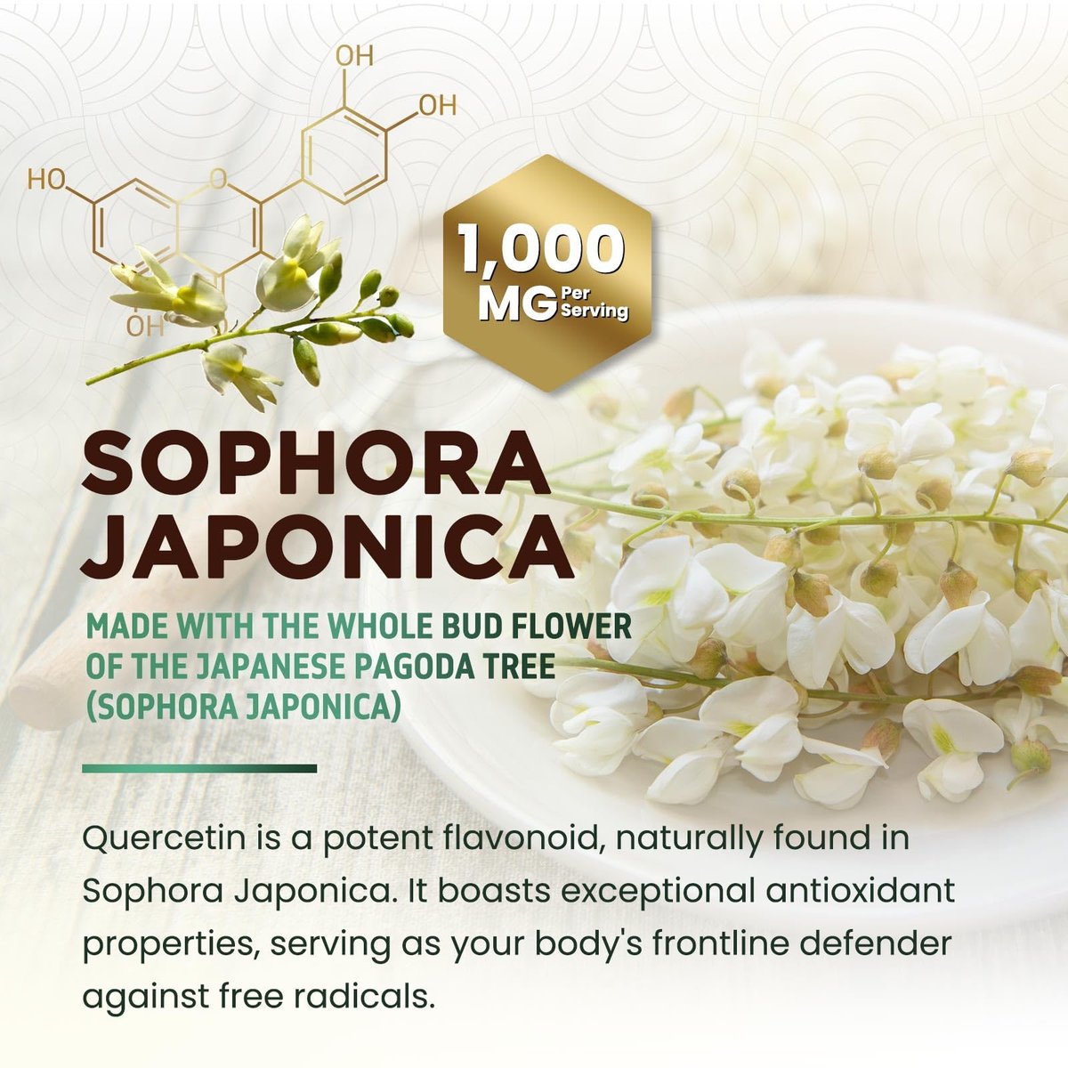 Quercetin Dihydrat 1000mg pro Portion – Hochdosiertes pflanzliches Bioflavonoid – Extra starke Antioxidans-Unterstützung für Immun- und Atemwegsgesundheit – Hohe Absorption – 60 Vegane Kapseln