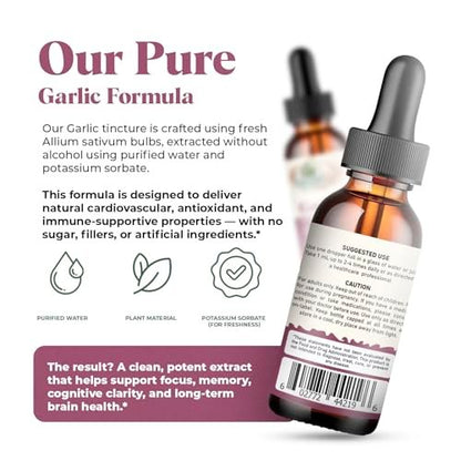 Amazing Botanicals Knoblauch-Tinktur – Allium Sativum Kräuterextrakt – Hochwirksames flüssiges Nahrungsergänzungsmittel – (30 ml)