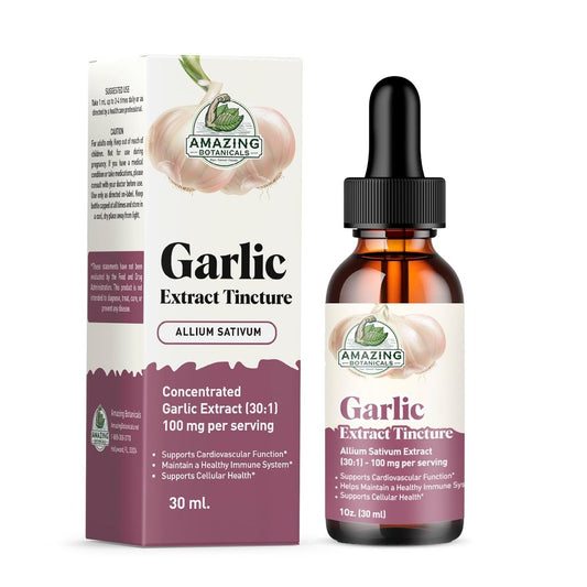 Amazing Botanicals Knoblauch-Tinktur – Allium Sativum Kräuterextrakt – Hochwirksames flüssiges Nahrungsergänzungsmittel – (30 ml)