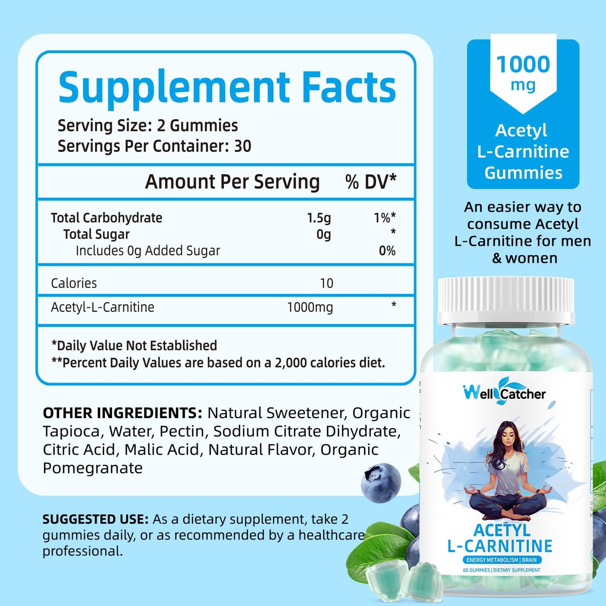 Acetyl-L-Carnitin Gummies 1000 mg – Zuckerfrei, ALCAR Gummies für Männer und Frauen – Unterstützt Muskelausdauer, Gehirngesundheit und Energie-Stoffwechsel – Vegan, Non-GMO, Blaubeergeschmack, 60 Stück
