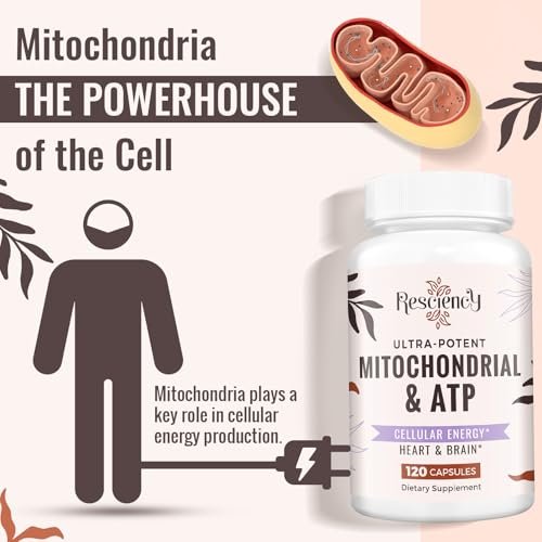 Resciency 2326 MG Mitochondriale Ergänzung mit ATP, Vitaminen, CoQ10 & PQQ – Mehr Energie, Ausdauer, Kraft, Regeneration & Muskelaufbau – Organisch, 120 Kapseln