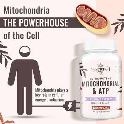 Resciency 2326 MG Mitochondriale Ergänzung mit ATP, Vitaminen, CoQ10 & PQQ – Mehr Energie, Ausdauer, Kraft, Regeneration & Muskelaufbau – Organisch, 120 Kapseln