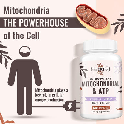 Resciency 2326 MG Mitochondriale Ergänzung mit ATP, Vitaminen, CoQ10 & PQQ – Mehr Energie, Ausdauer, Kraft, Regeneration & Muskelaufbau – Organisch, 120 Kapseln
