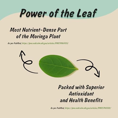 Spice Profile USDA Bio Moringa Pulver, laborgeprüft auf Schwermetalle, wiederverschließbarer 4 oz Beutel, Moringa Patta Pulver