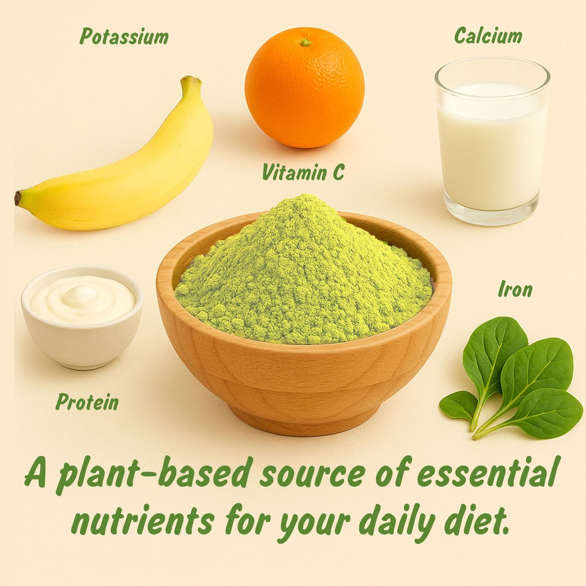 Spice Profile USDA Bio Moringa Pulver, laborgeprüft auf Schwermetalle, wiederverschließbarer 4 oz Beutel, Moringa Patta Pulver