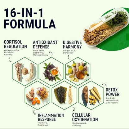 Opti Health Sea Moss Black Seed Oil Ashwagandha Ginger – Fortgeschrittene irische Sea Moss Kapseln, All-in-One-Nahrungsergänzung mit Seamoss, Schwarzkümmelöl, Ashwagandha, Klettenwurzel, Blasentang – Energie, Immunsystem, Darmgesundheit (60 Kapseln)