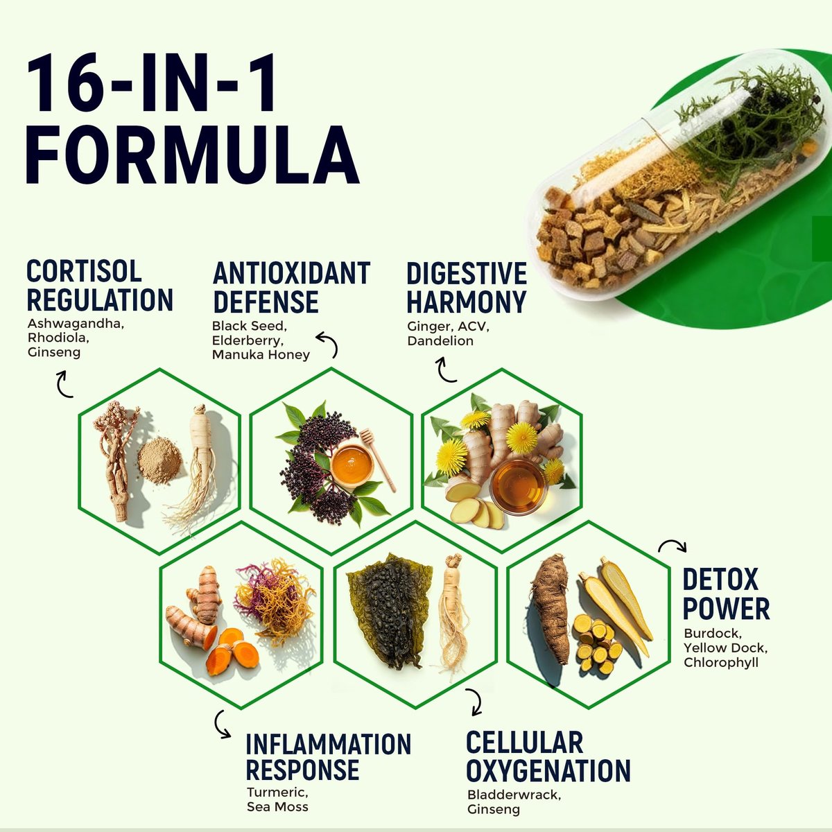 Opti Health Sea Moss Black Seed Oil Ashwagandha Ginger – Fortgeschrittene irische Sea Moss Kapseln, All-in-One-Nahrungsergänzung mit Seamoss, Schwarzkümmelöl, Ashwagandha, Klettenwurzel, Blasentang – Energie, Immunsystem, Darmgesundheit (60 Kapseln)