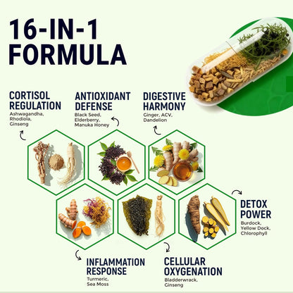 Opti Health Sea Moss Black Seed Oil Ashwagandha Ginger – Fortgeschrittene irische Sea Moss Kapseln, All-in-One-Nahrungsergänzung mit Seamoss, Schwarzkümmelöl, Ashwagandha, Klettenwurzel, Blasentang – Energie, Immunsystem, Darmgesundheit (60 Kapseln)