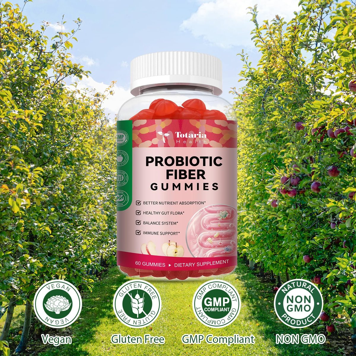 9-in-1 Probiotische Präbiotische Ballaststoff-Gummis für Erwachsene & Teenager – 16g Ballaststoffe pro Portion, Flohsamenschalen-Ballaststoffergänzung mit 5 Milliarden CFU Bacillus Coagulans, Inulin, ACV für Verdauung & Darm – 60 Stück