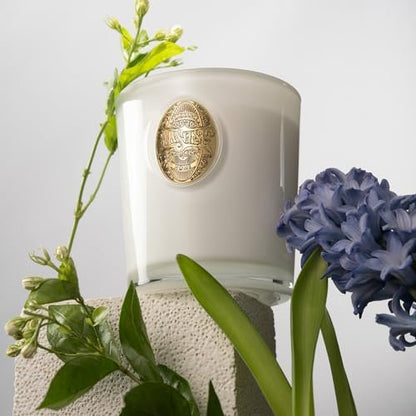 M&SENSE Vanilla Dream Sojawachs-Kerze, 9,2 oz, 50 Stunden Brenndauer, natürliche, ungiftige Duftkerze, Aromatherapie für Stressabbau & Home Spa