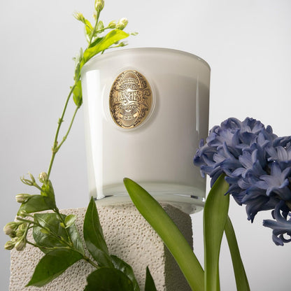 M&SENSE Vanilla Dream Sojawachs-Kerze, 9,2 oz, 50 Stunden Brenndauer, natürliche, ungiftige Duftkerze, Aromatherapie für Stressabbau & Home Spa