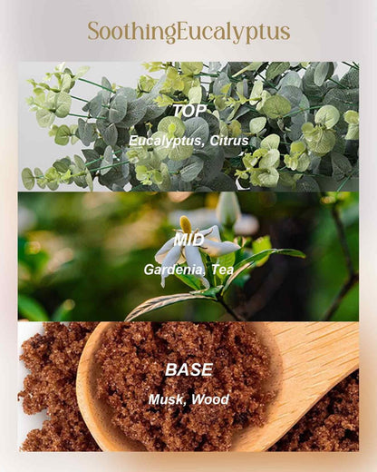 M&SENSE Beruhigende Eukalyptus Duftkerze, Große 3-Docht Soja-Kerze im Blech, Über 40 Stunden Brenndauer, 100% Natürliches Veganes Wachs, Entspannende Aromatherapie Ästhetische Kerze Geschenk für Frauen Männer