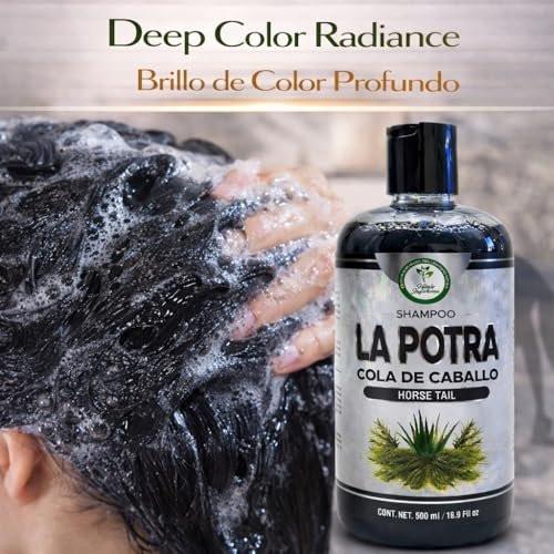 La Potra Cola de Caballo Shampoo Negro 500ml – mit Rosmarin & Aloe Vera für dunkles bis schwarzes Haar | Fördert längeres, gesundes und schönes Haar