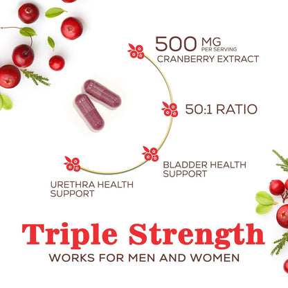 Cranberry Extrakt 500 mg pro Portion - Cranberry-Pulver mit Vitamin C - Unterstützung der Harnwegsgesundheit, Zuckerfreie Formel, Hergestellt in den USA - 120 Kapseln