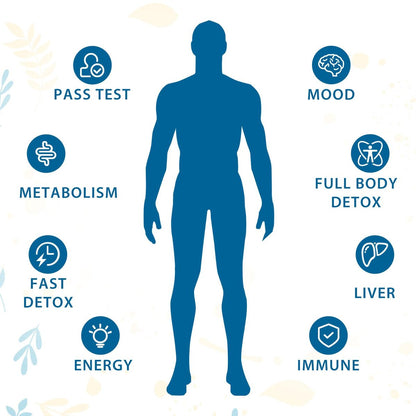 Verdanthus 31-in-ONE Detox und Leberreiniger – Schnelle Ganzkörper-Detox-Kur mit natürlichen Kräutern, 60 Kapseln – Hergestellt in den USA