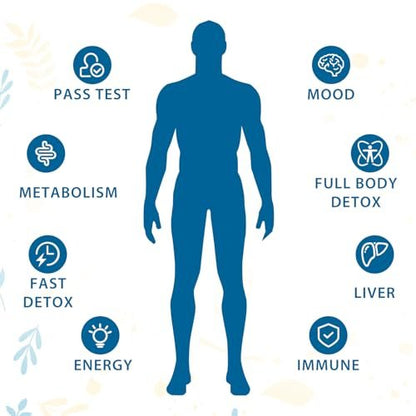 Verdanthus 31-in-ONE Detox und Leberreiniger – Schnelle Ganzkörper-Detox-Kur mit natürlichen Kräutern, 60 Kapseln – Hergestellt in den USA