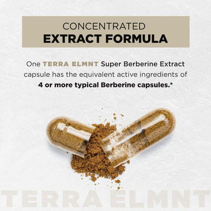 Super GLP-1 Berberine Weight Loss Supplement mit Dihydroberberin, Ceylon-Zimt, Grüntee, Chrompicolinat – Ultra-hohe Potenz 100:1 Berberin natürliches GLP1 für Gewichtsverlust Pillen für Frauen