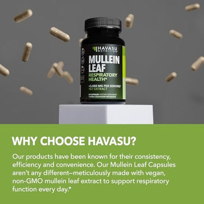 Mulleinblatt-Kapseln für die Atemwegsgesundheit – 500 mg Mullein-Extrakt zur Unterstützung der Lungenfunktion und des Immunsystems – 30 Kapseln – Vegan, Nicht-GMO – Pflanzliches Nahrungsergänzungsmittel für das tägliche Wohlbefinden – 1-Monats-Vorrat