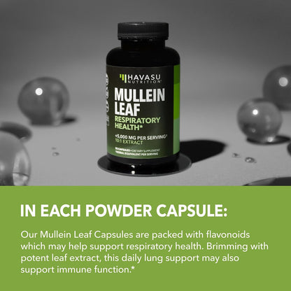 Mulleinblatt-Kapseln für die Atemwegsgesundheit – 500 mg Mullein-Extrakt zur Unterstützung der Lungenfunktion und des Immunsystems – 30 Kapseln – Vegan, Nicht-GMO – Pflanzliches Nahrungsergänzungsmittel für das tägliche Wohlbefinden – 1-Monats-Vorrat