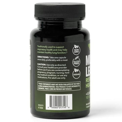 Mulleinblatt-Kapseln für die Atemwegsgesundheit – 500 mg Mullein-Extrakt zur Unterstützung der Lungenfunktion und des Immunsystems – 30 Kapseln – Vegan, Nicht-GMO – Pflanzliches Nahrungsergänzungsmittel für das tägliche Wohlbefinden – 1-Monats-Vorrat