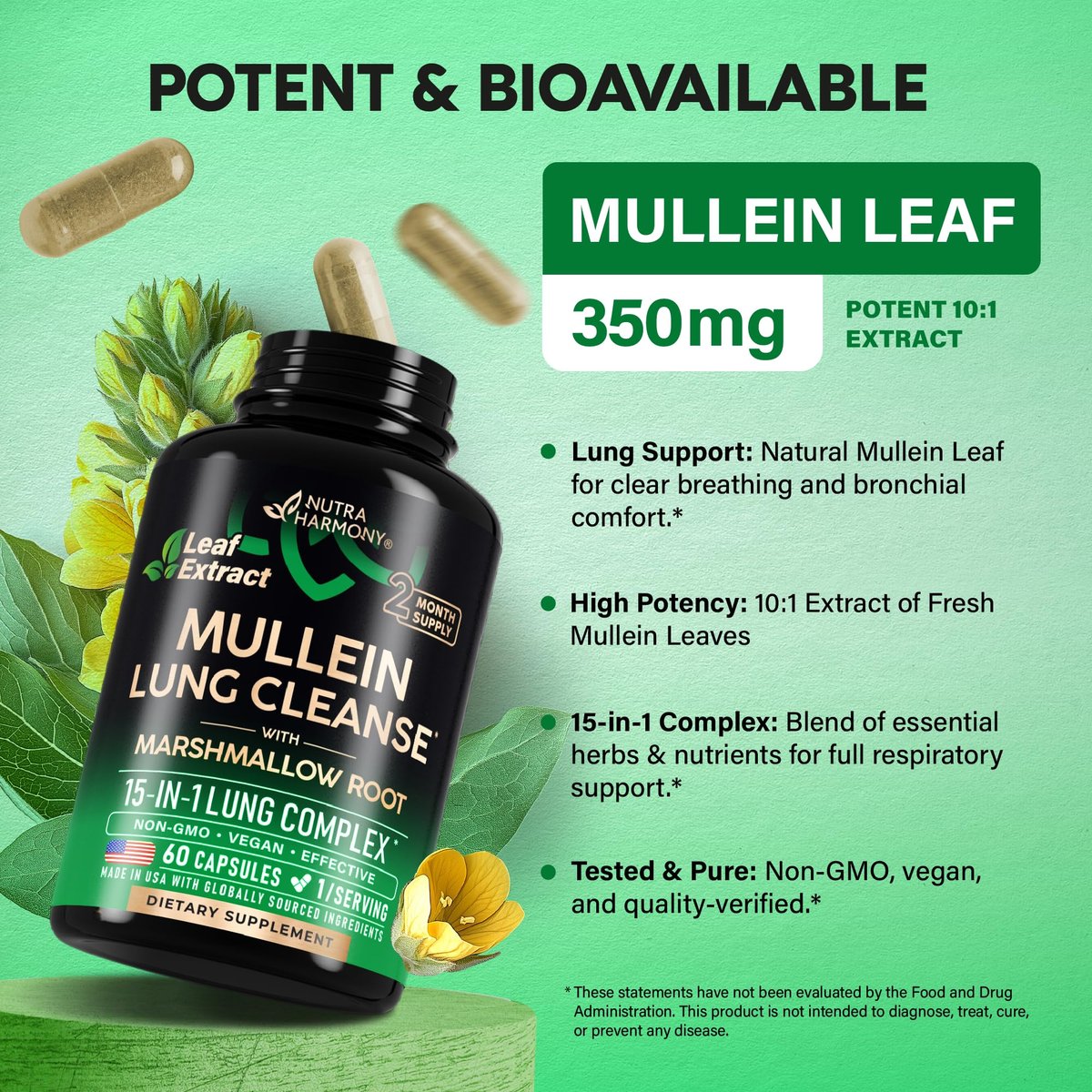 Mullein Lung Detox – 15-in-1 Lungenunterstützung mit Mullein 10:1 Extrakt, Eibischwurzel, Echinacea, Oregano, Quercetin, NAC – für Raucher – 60 vegane Kapseln