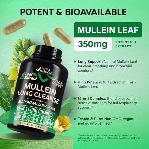 Mullein Lung Detox – 15-in-1 Lungenunterstützung mit Mullein 10:1 Extrakt, Eibischwurzel, Echinacea, Oregano, Quercetin, NAC – für Raucher – 60 vegane Kapseln