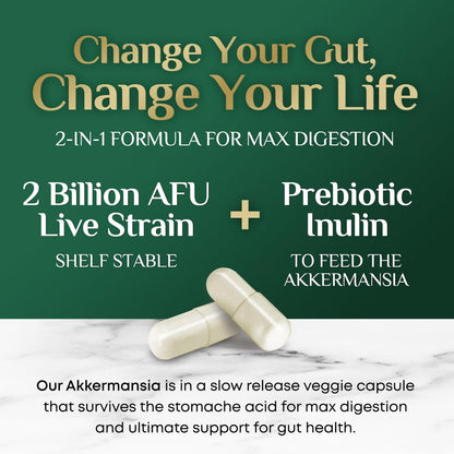 Akkermansia Probiotikum - 2 Milliarden AFU pro Portion - Fortschrittliches Akkermansia Muciniphila Präparat mit Präbiotika - Unterstützt Verdauung und GLP-1 - In den USA abgefüllt - 60 Kapseln