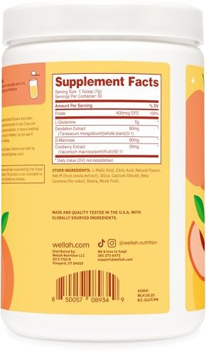 Wellah L-Glutamine Pfirsich Mango (50 Portionen) - 5 g L-Glutamin pro Portion, mit Stevia gesüßt