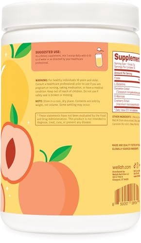 Wellah L-Glutamine Pfirsich Mango (50 Portionen) - 5 g L-Glutamin pro Portion, mit Stevia gesüßt