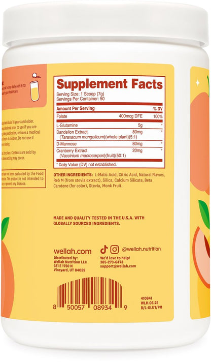 Wellah L-Glutamine Pfirsich Mango (50 Portionen) - 5 g L-Glutamin pro Portion, mit Stevia gesüßt
