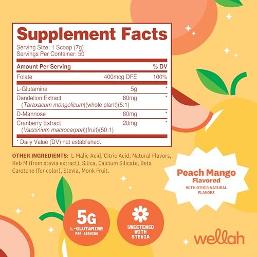 Wellah L-Glutamine Pfirsich Mango (50 Portionen) - 5 g L-Glutamin pro Portion, mit Stevia gesüßt