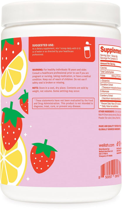 Wellah L-Glutamin Erdbeer-Limonade Geschmack (50 Portionen) - 5 g L-Glutamin pro Portion, mit Stevia gesüßt