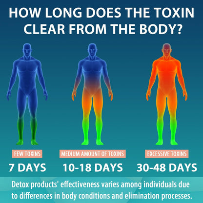MythoTecq 90.000 MG Detox & Cleanse – Körperentgiftung für Männer & Frauen – Natürliche Kräuterformel für Leber, Nieren, Verdauung & Stimmung – 60 Kapseln