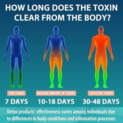 MythoTecq 90.000 MG Detox & Cleanse – Körperentgiftung für Männer & Frauen – Natürliche Kräuterformel für Leber, Nieren, Verdauung & Stimmung – 60 Kapseln