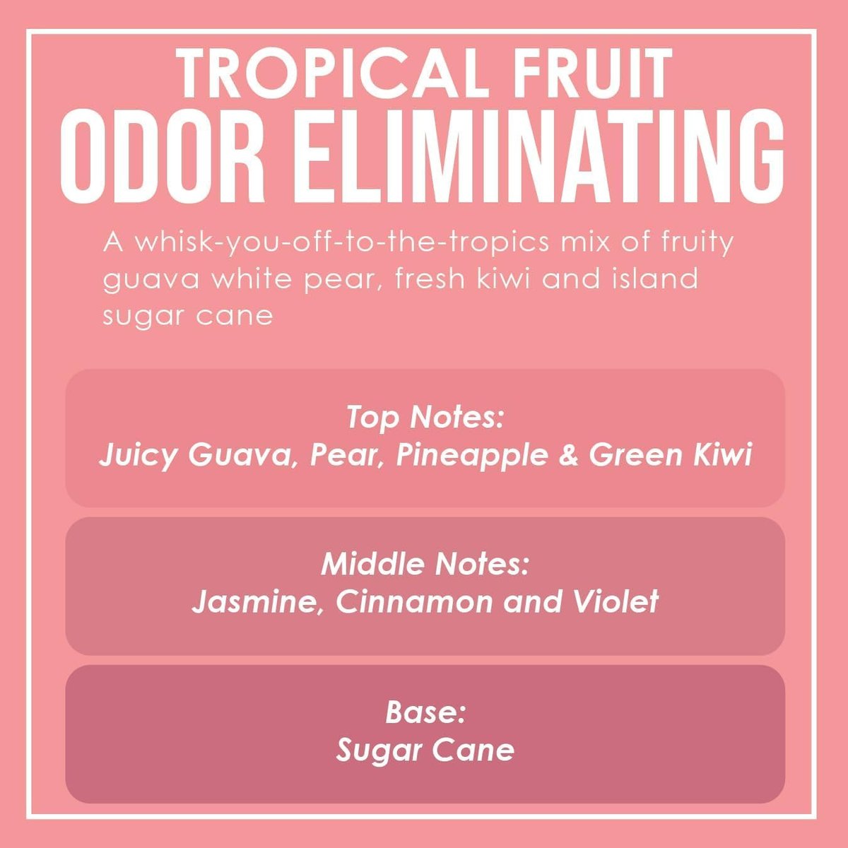 Tropical Fruit Duftkerzen 2er-Pack – Geruchsentferner mit Sojawachs, 80 Stunden Brenndauer, 12 oz