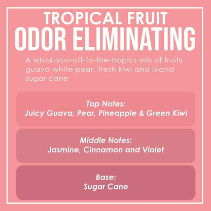 Tropical Fruit Duftkerzen 2er-Pack – Geruchsentferner mit Sojawachs, 80 Stunden Brenndauer, 12 oz