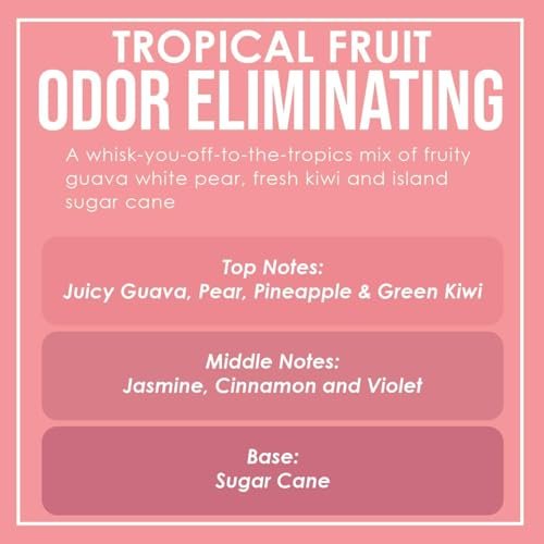 Tropical Fruit Duftkerzen 2er-Pack – Geruchsentferner mit Sojawachs, 80 Stunden Brenndauer, 12 oz