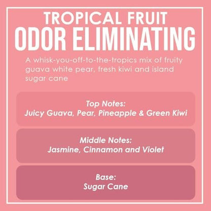 Tropical Fruit Duftkerzen 2er-Pack – Geruchsentferner mit Sojawachs, 80 Stunden Brenndauer, 12 oz
